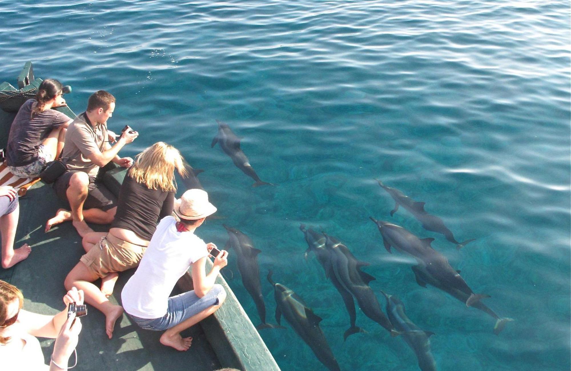 Blue Wave Hotel Maldives- Same Sea, Same Sand Same Sun Like Resorts Кудахувадху Экстерьер фото